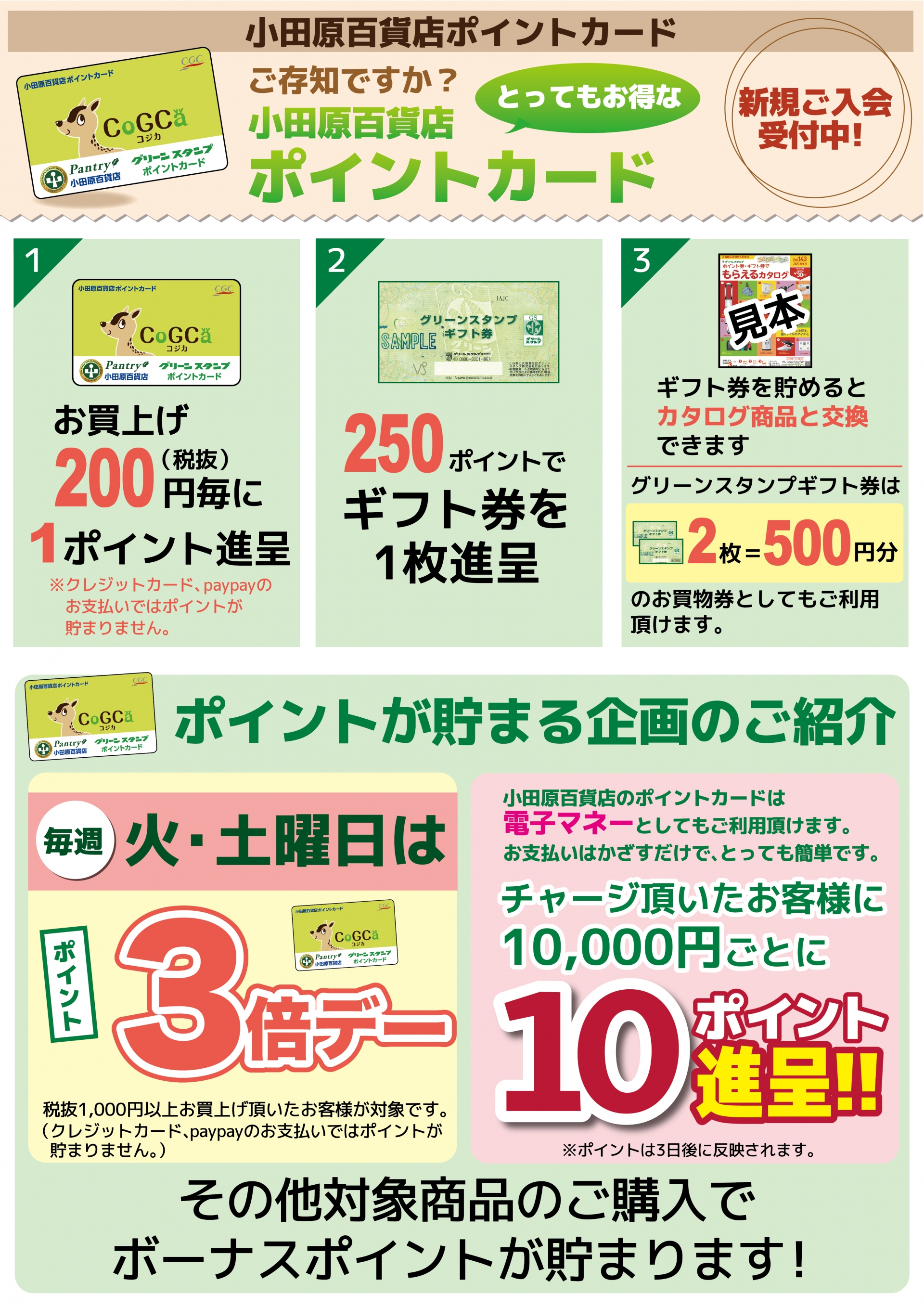 グリーンスタンプポイント券 27枚 | www.innoveering.net