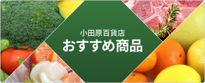 小田原百貨店おすすめ商品