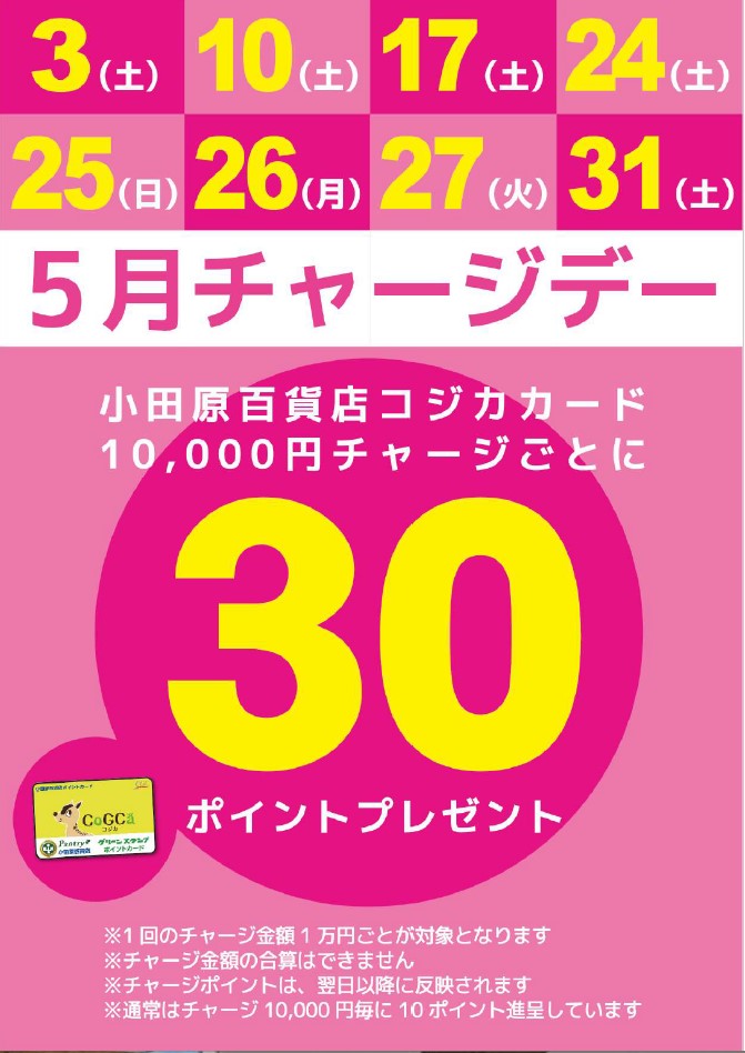 月間チャージデー一覧