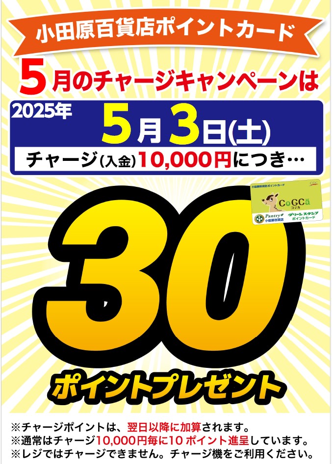 月間チャージデー一覧