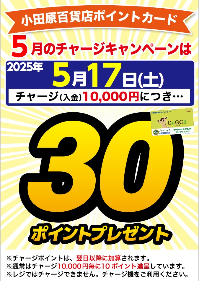 月間チャージデー一覧