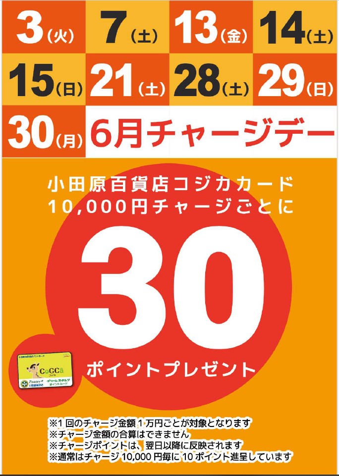 月間チャージデー一覧