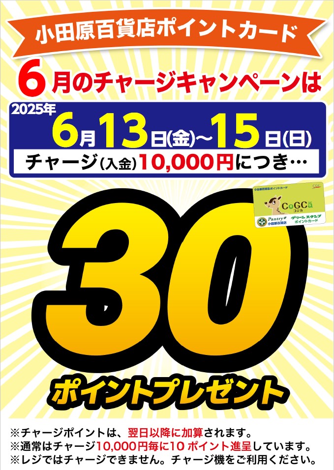 月間チャージデー一覧