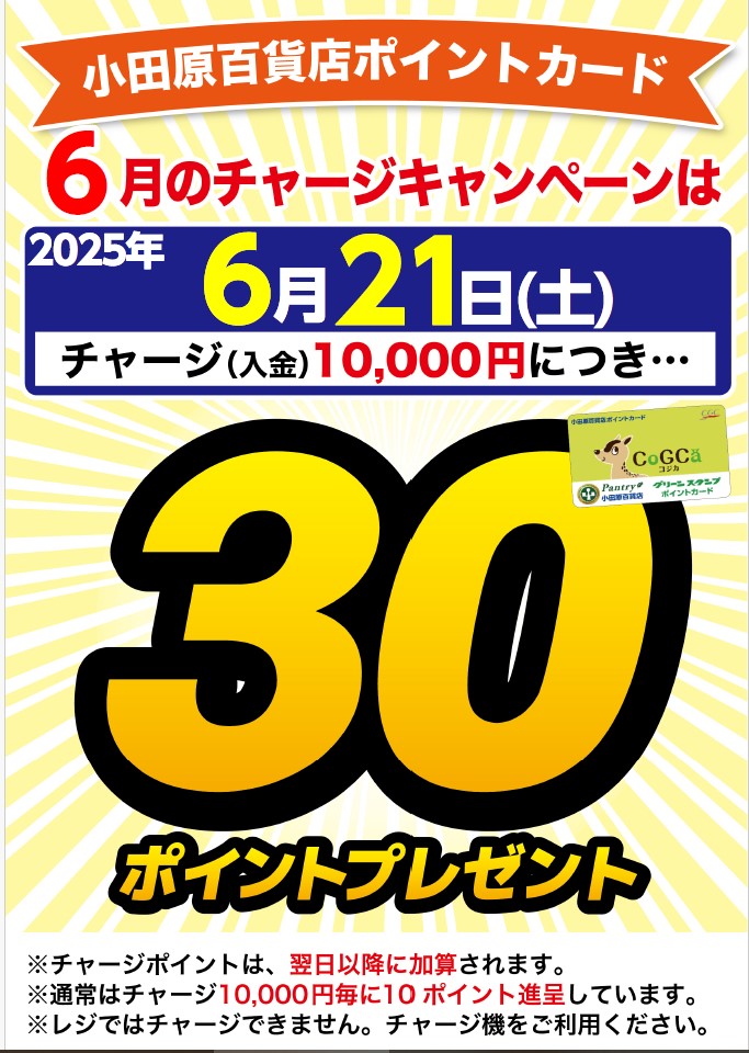 月間チャージデー一覧