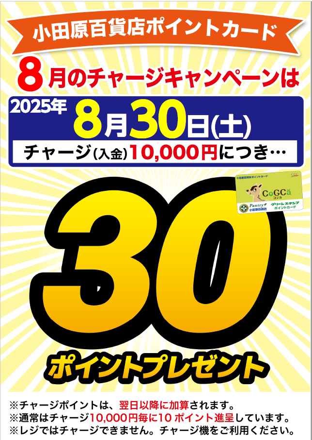 月間チャージデー一覧