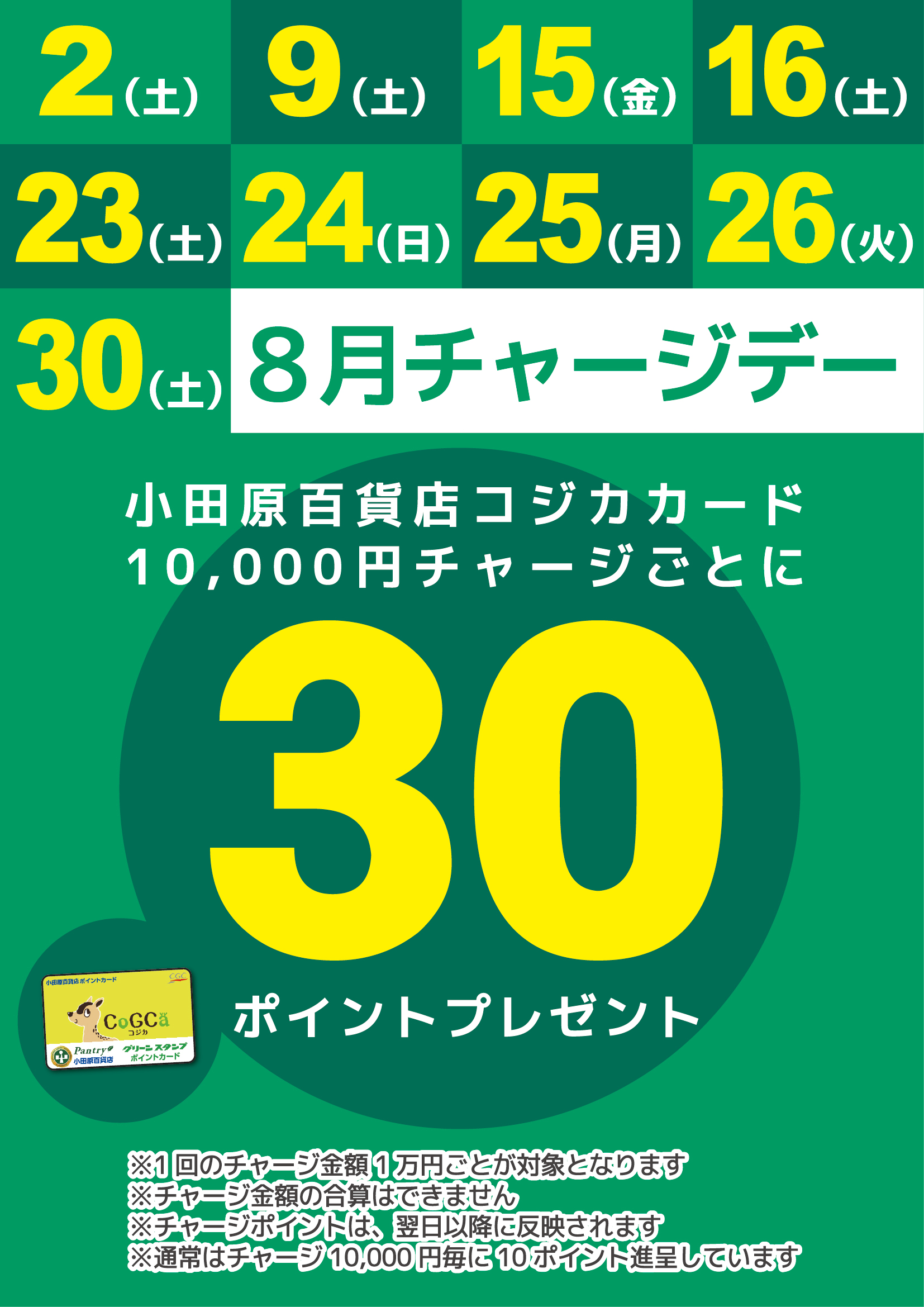 月間チャージデー一覧