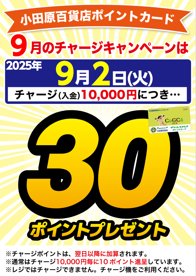 月間チャージデー一覧