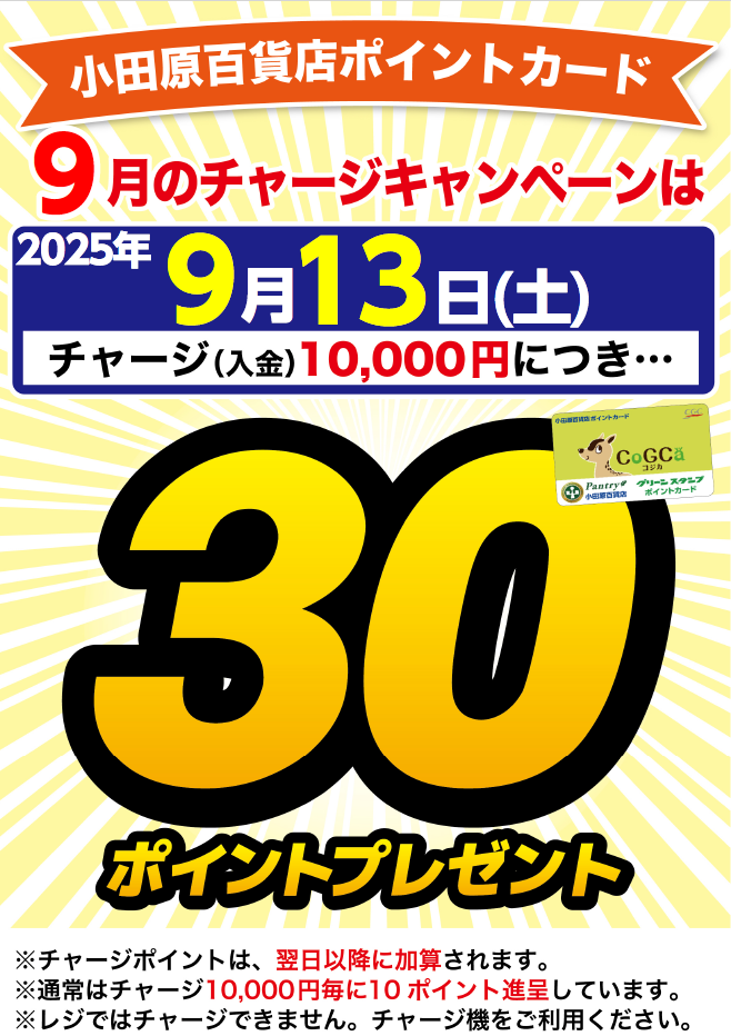 月間チャージデー一覧
