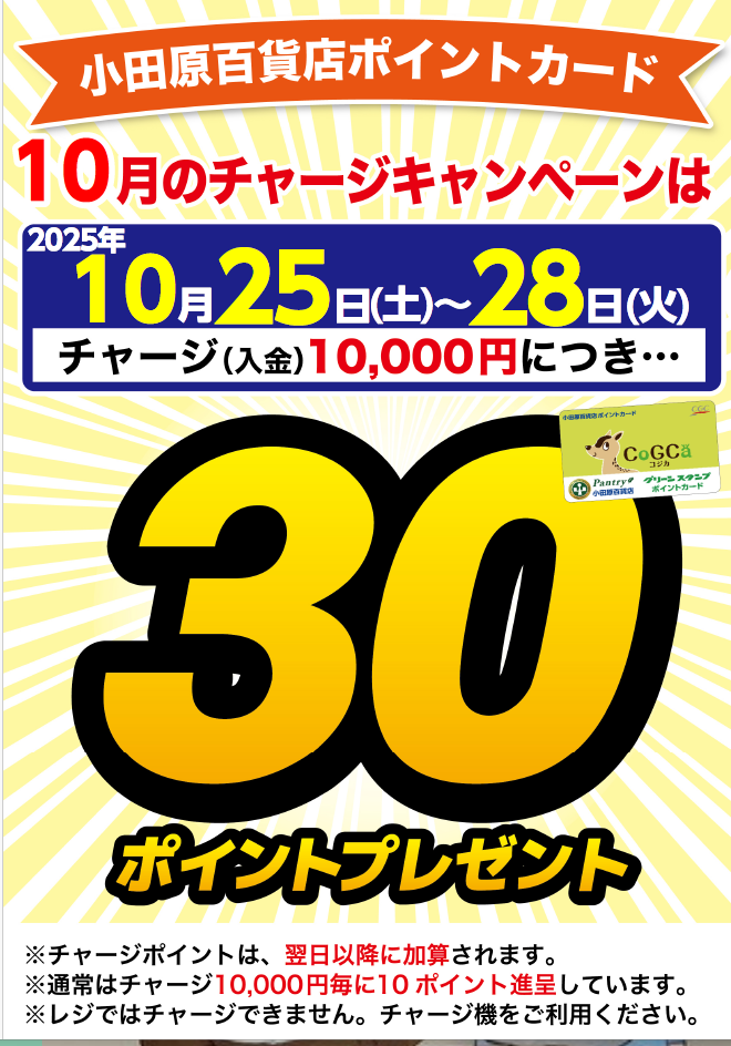 月間チャージデー一覧