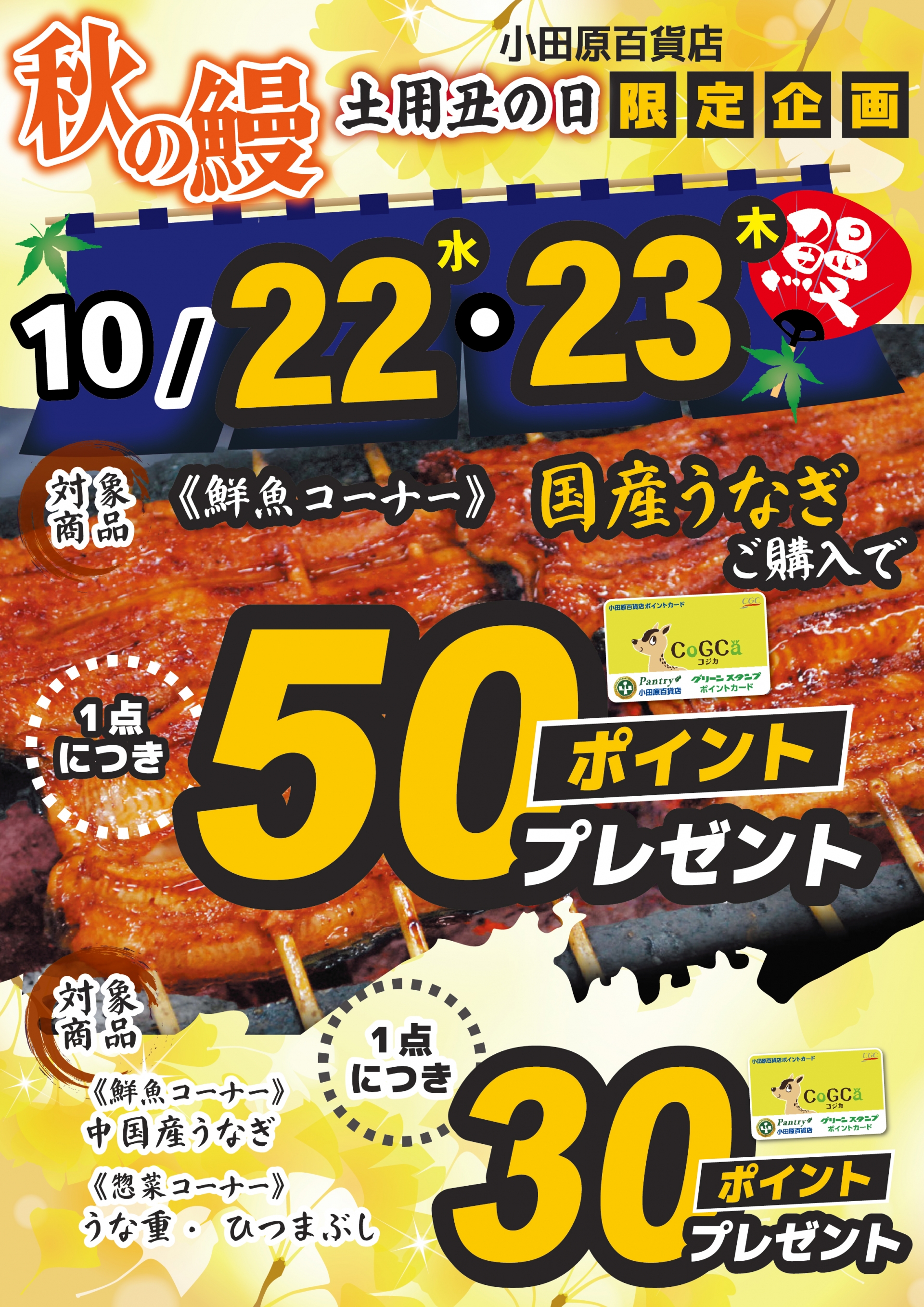 うなぎ購入ポイントプレゼント