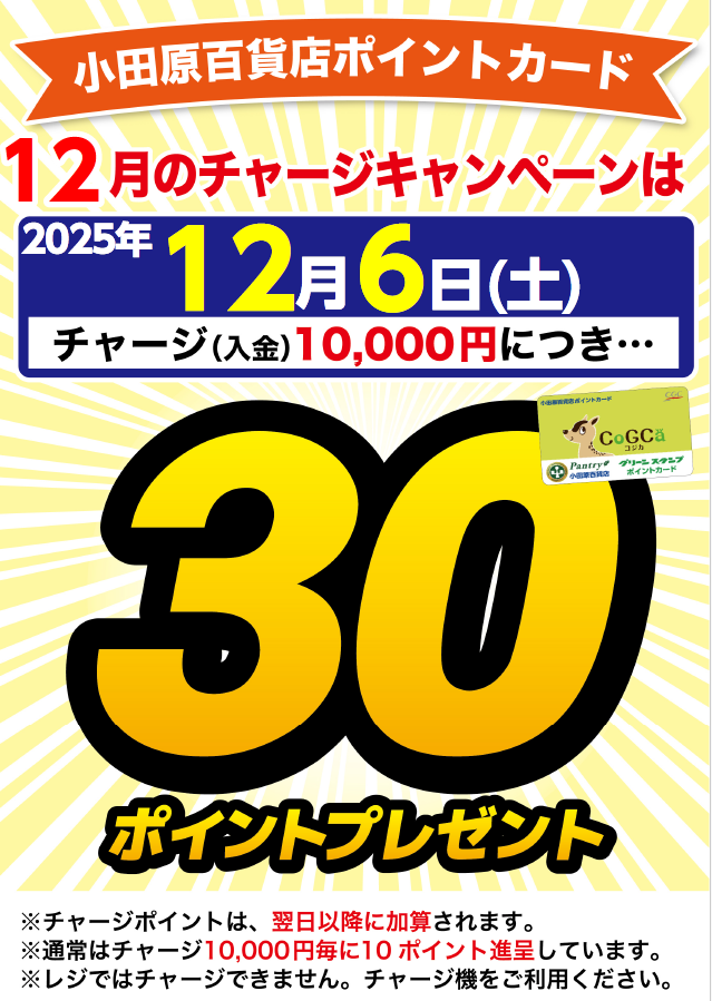 月間チャージデー一覧