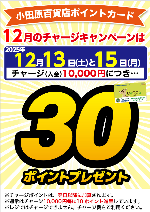 月間チャージデー一覧