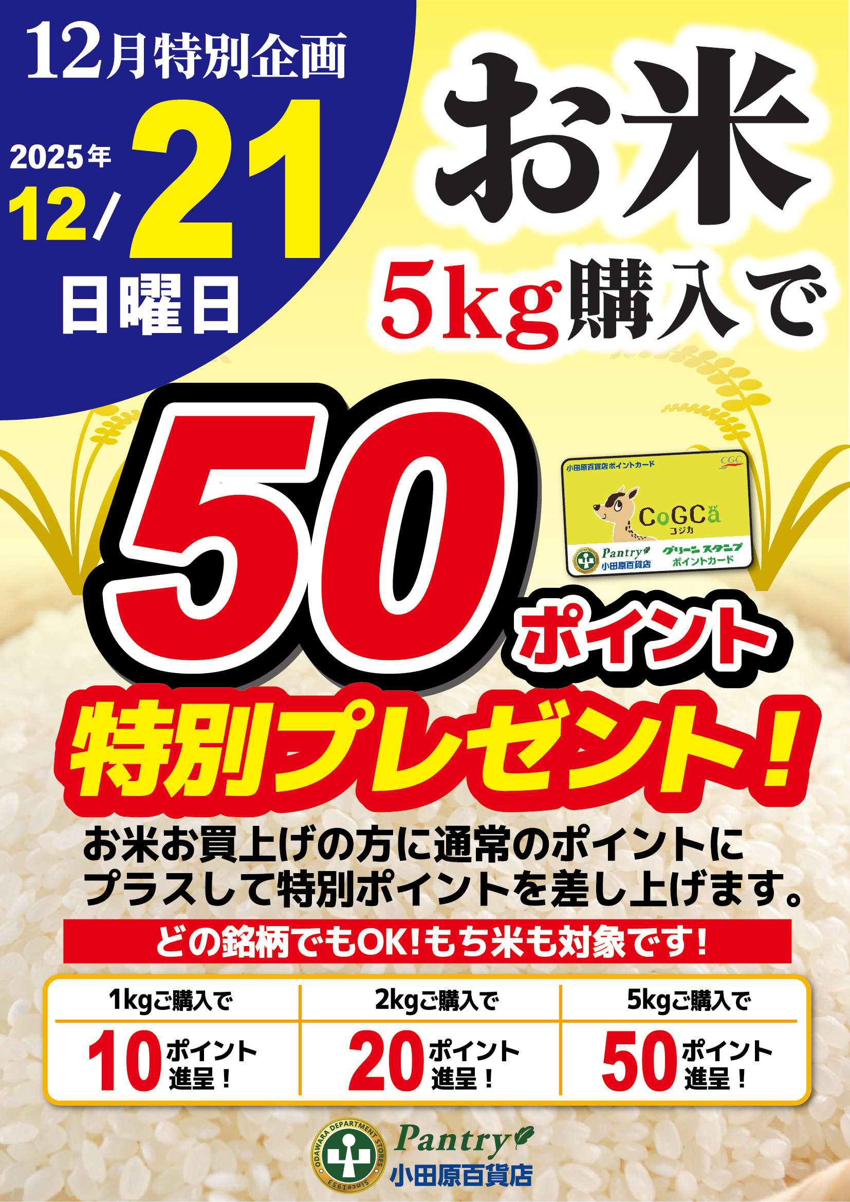 おこめ購入ポイントプレゼント