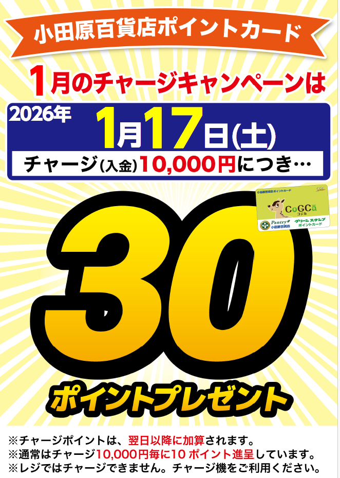 月間チャージデー一覧