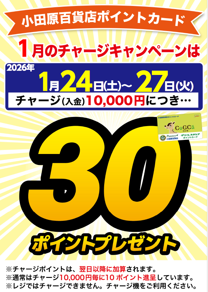 月間チャージデー一覧