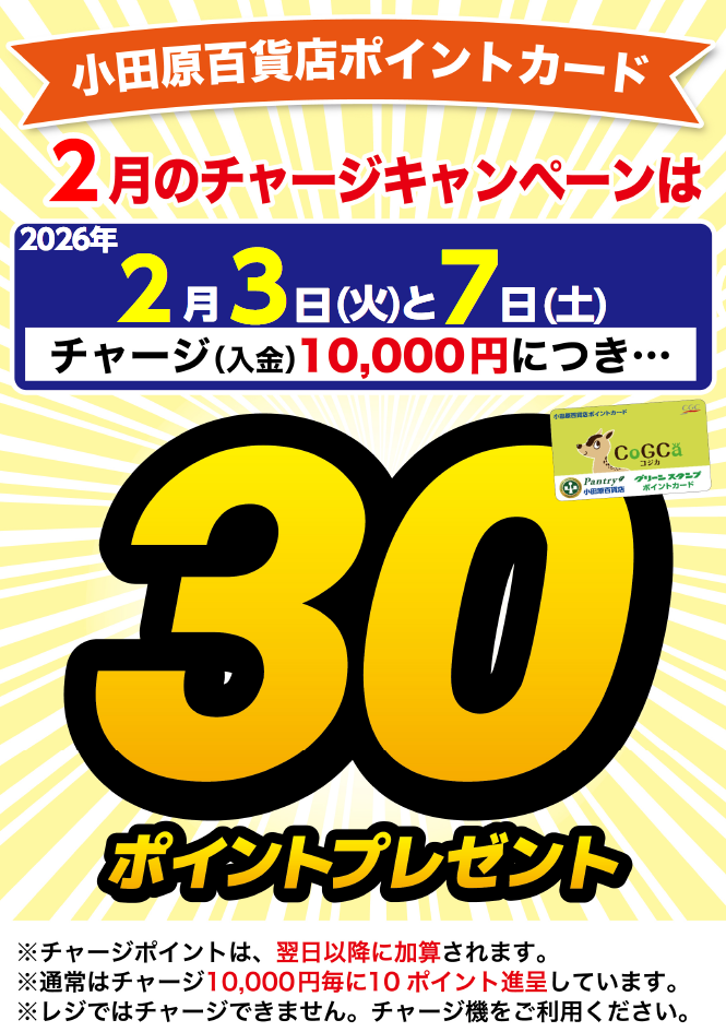 月間チャージデー一覧