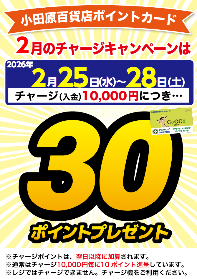 月間チャージデー一覧