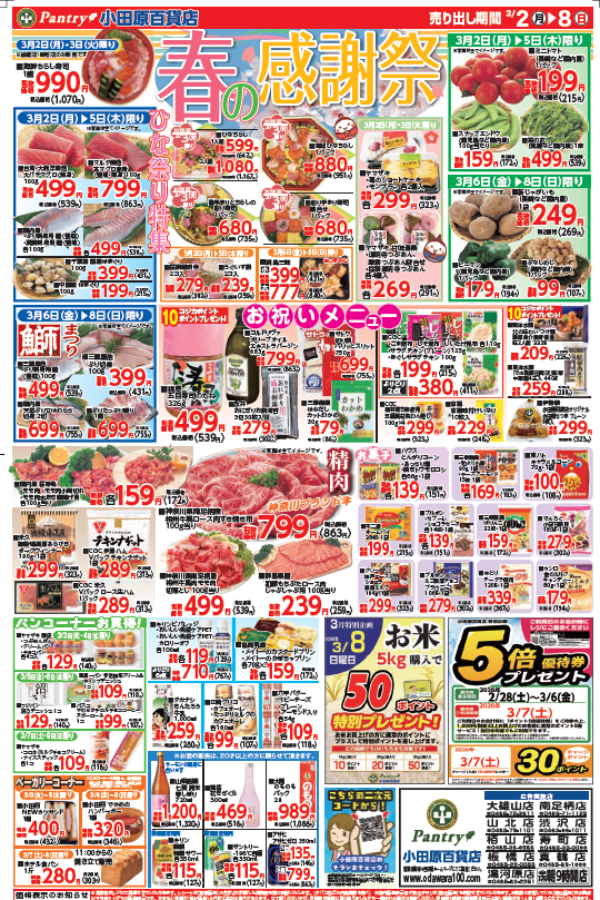 【全店舗共通チラシ】 3/2（月）～ 3/8（日） 春の大感謝祭～ひなまつり特集～