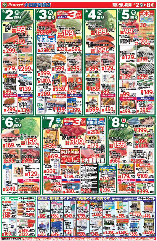 【全店舗共通チラシ】 3/2（月）～ 3/8（日） 春の大感謝祭～ひなまつり特集～