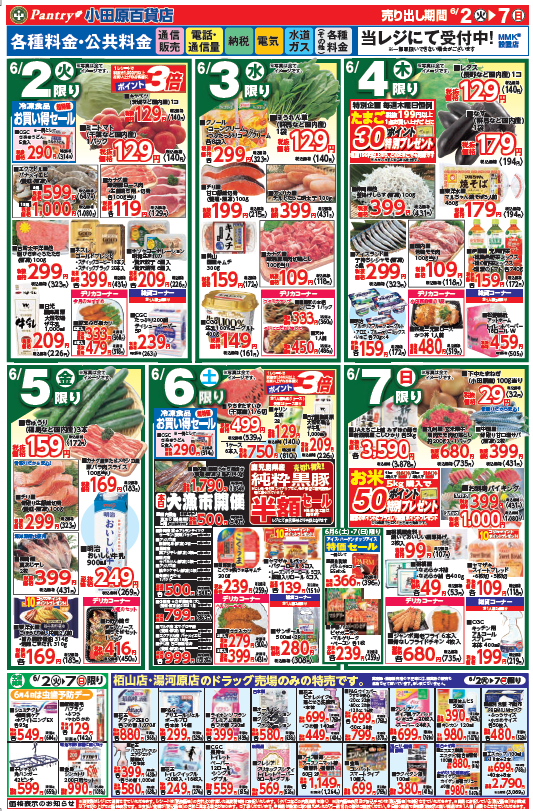 【全店舗共通チラシ】 6/2（火）～ 6/7（日） 初夏の食欲全開もりもり！