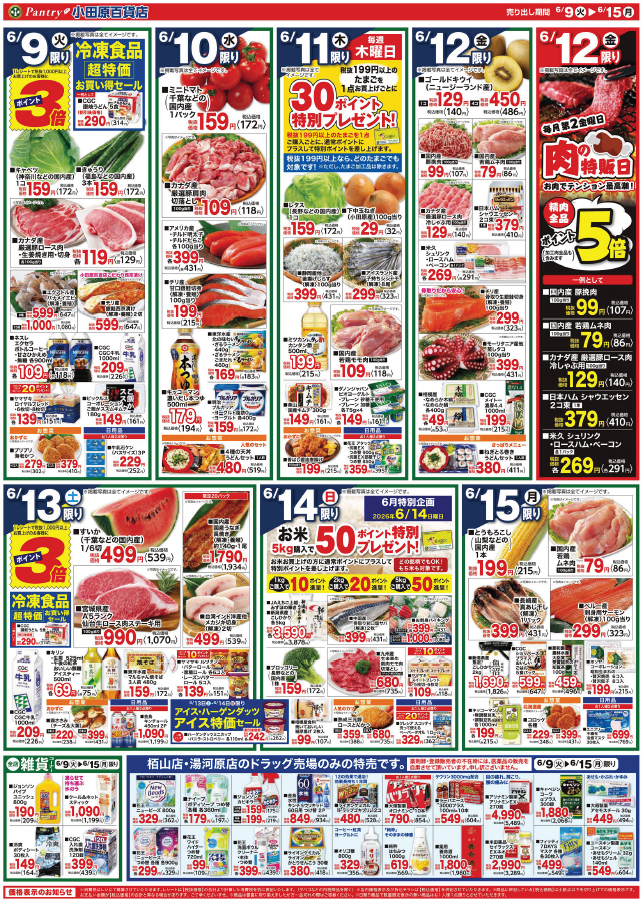 【全店舗共通チラシ】 6/9（火）～ 6/15（月） 初夏の北海道フェア