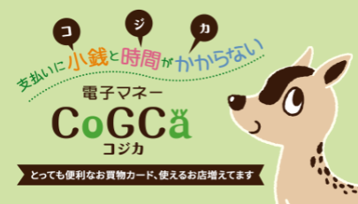 コジカのご案内