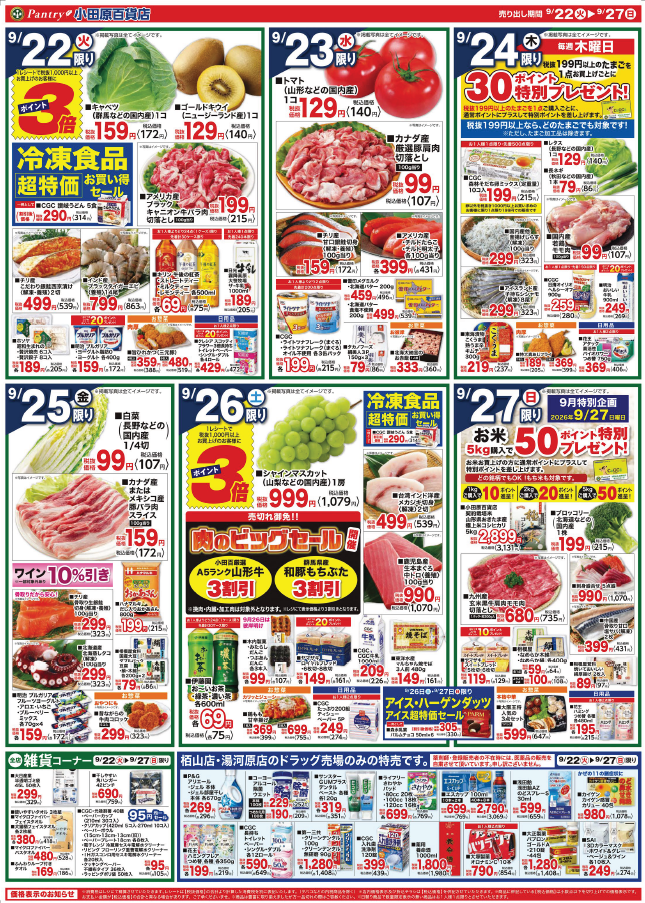 【全店舗共通チラシ】  9/22（火）～　9/27（日） 大雄山店おかげさまで１０周年　大感謝セール 旬の食材を楽しもう！
